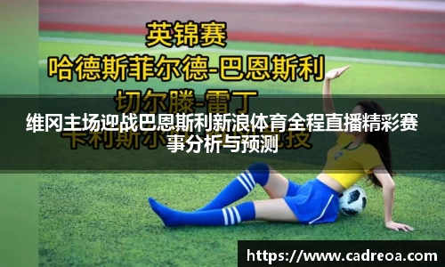 维冈主场迎战巴恩斯利新浪体育全程直播精彩赛事分析与预测